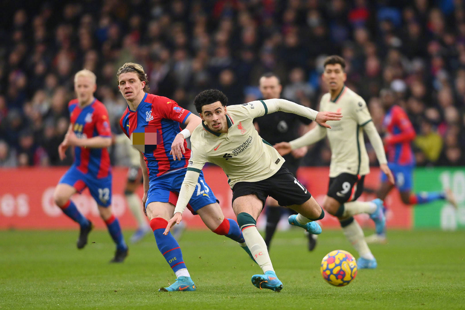 试图断地主 试图断地主